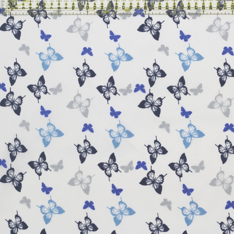 Butterfly in blue and gray